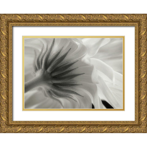 Calendula Gold Ornate Wood Framed Art Print with Double Matting by Gronkjar, Lotte