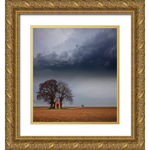 The Width Of The Alb Gold Ornate Wood Framed Art Print with Double Matting by Schumacher, Nicolas