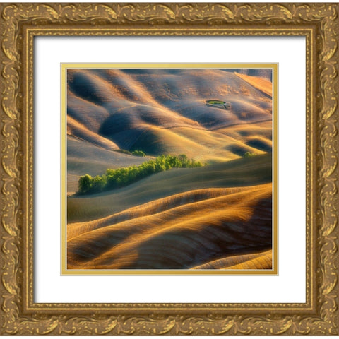 Fields Gold Ornate Wood Framed Art Print with Double Matting by Browko, Krzysztof