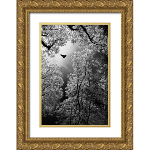 Flight Gold Ornate Wood Framed Art Print with Double Matting by Stamenkovic, Goran