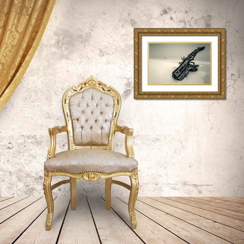 Ancient Large Saxophone. Gold Ornate Wood Framed Art Print with Double Matting by Cicatko, Juraj