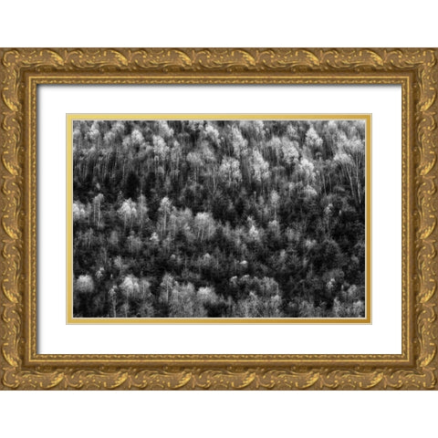 Untitled Gold Ornate Wood Framed Art Print with Double Matting by Ghesquiere, Hilde