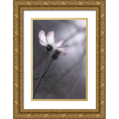 Cosmos Gold Ornate Wood Framed Art Print with Double Matting by HIDEBON