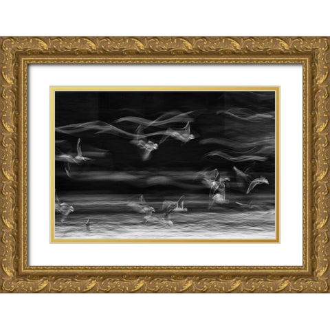 The Boundary Between Reality And Fantasy Gold Ornate Wood Framed Art Print with Double Matting by Bakhtari Bonab, Ebrahim