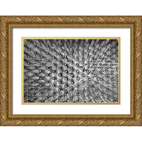 Crowded Gold Ornate Wood Framed Art Print with Double Matting by Mitalapo