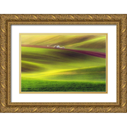 Golden Fields Gold Ornate Wood Framed Art Print with Double Matting by Krol, Piotr