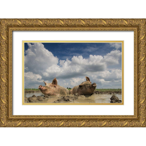 Mudpool Fun Gold Ornate Wood Framed Art Print with Double Matting by Van Den, Gert