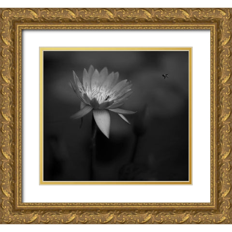 Lotus Gold Ornate Wood Framed Art Print with Double Matting by Tjandra, C.S.