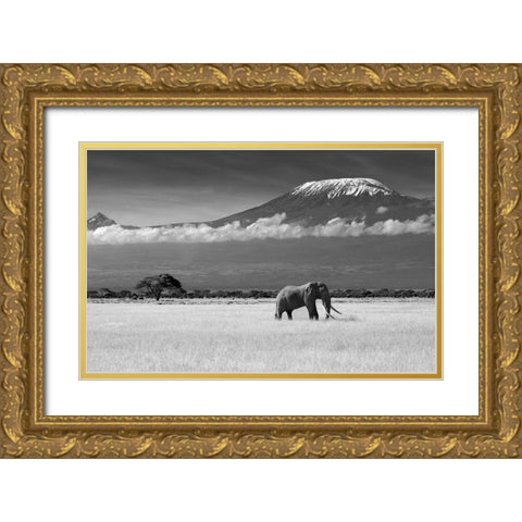 Lost Colors Ii Gold Ornate Wood Framed Art Print with Double Matting by Canakci, Ibrahim
