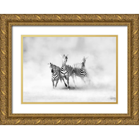 Zebras Gold Ornate Wood Framed Art Print with Double Matting by Luis Duran, Juan