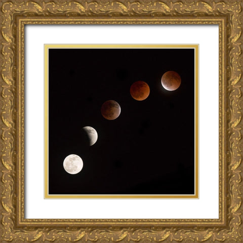 Moon At Play Gold Ornate Wood Framed Art Print with Double Matting by Ianulionoc, Vadim