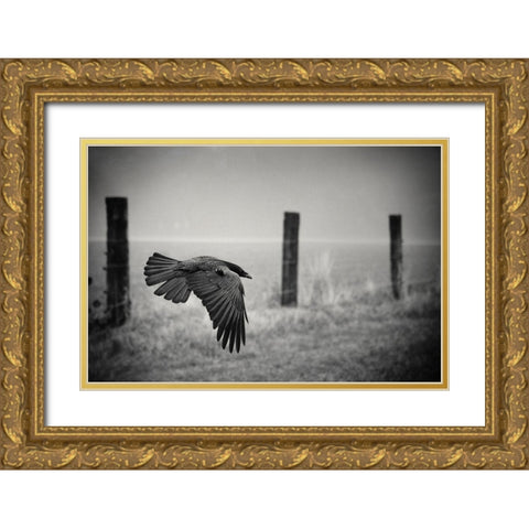 The Day Of The Raven Gold Ornate Wood Framed Art Print with Double Matting by Droste, Holger