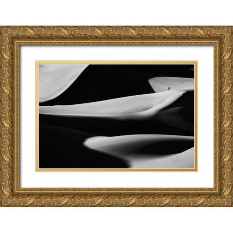 Dune X Gold Ornate Wood Framed Art Print with Double Matting by Kravanja, Jure