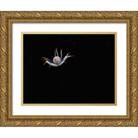 Alien Gold Ornate Wood Framed Art Print with Double Matting by Barchana, Dani