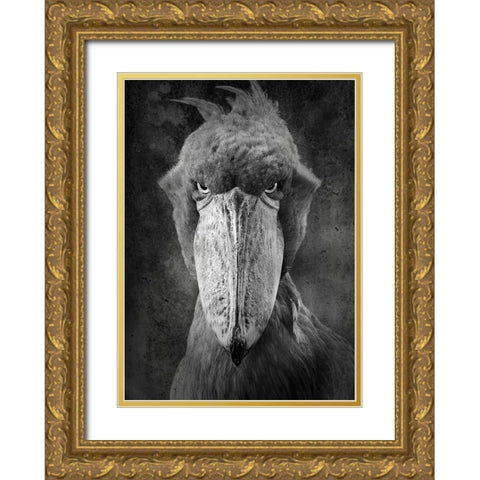 Angry Bird Gold Ornate Wood Framed Art Print with Double Matting by Lehto, Timo