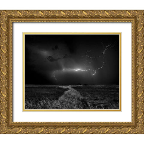 Sometimes The Sky Explodes ... Gold Ornate Wood Framed Art Print with Double Matting by Depaepe, Yvette