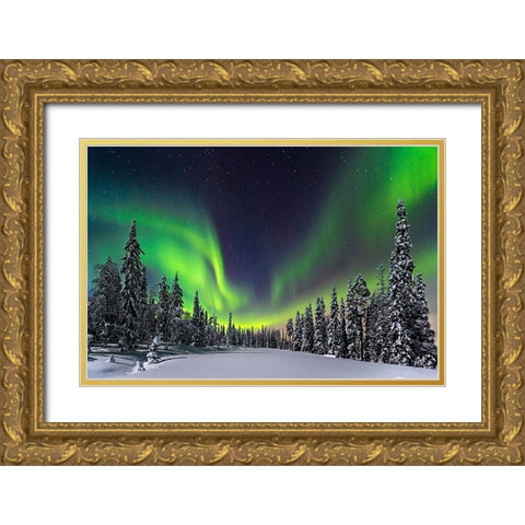 Aurora Gold Ornate Wood Framed Art Print with Double Matting by Roemmelt, Dr. Nicholas