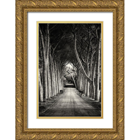 Untitled Gold Ornate Wood Framed Art Print with Double Matting by Stimac, Sandra