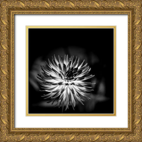 Sensual Performance Gold Ornate Wood Framed Art Print with Double Matting by Bland, Richard