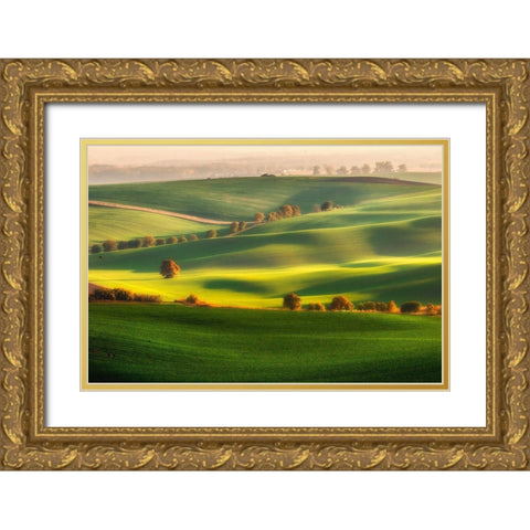 Green Fields Gold Ornate Wood Framed Art Print with Double Matting by Krol, Piotr