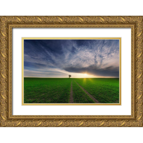 Loner In The Sun Gold Ornate Wood Framed Art Print with Double Matting by Krol, Piotr