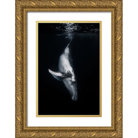 Black Whale Gold Ornate Wood Framed Art Print with Double Matting by Gabriel, Barathieu