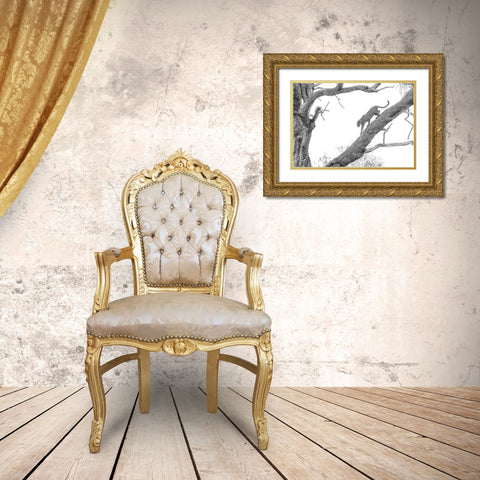 High Key Leopard Gold Ornate Wood Framed Art Print with Double Matting by Marx, Jaco