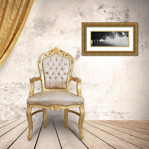 Morning Fog Gold Ornate Wood Framed Art Print with Double Matting by Chiarello, Matteo