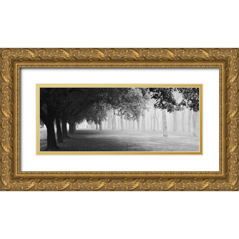 Morning Fog Gold Ornate Wood Framed Art Print with Double Matting by Chiarello, Matteo