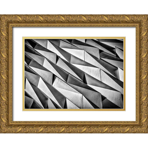 Rough Skin Gold Ornate Wood Framed Art Print with Double Matting by Jeanes, Matthew