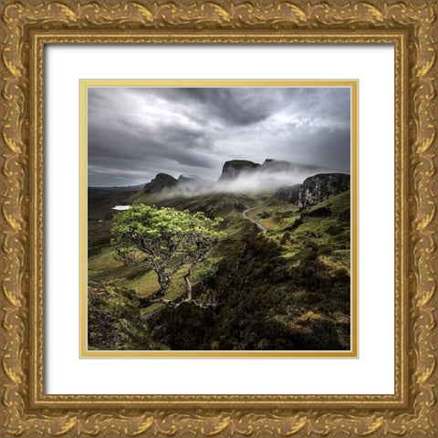 Quirange Gold Ornate Wood Framed Art Print with Double Matting by Thorberntsson, Claes