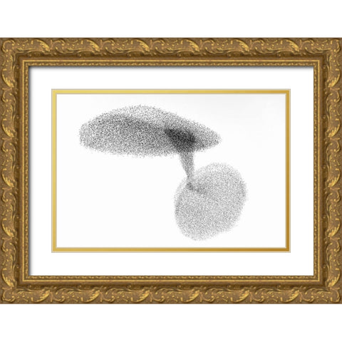 Starlings Dance Gold Ornate Wood Framed Art Print with Double Matting by Gil Raga, Joan