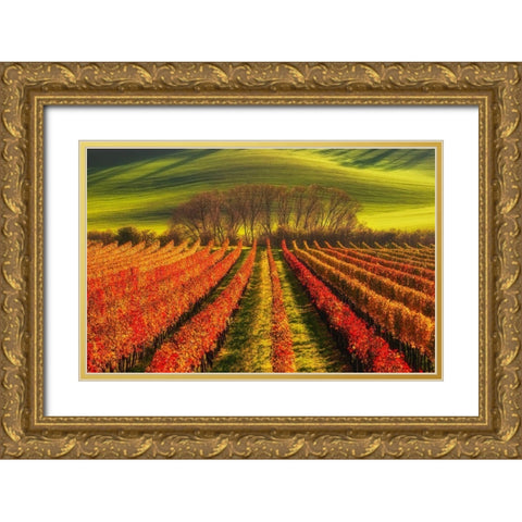 Vine-Growing Gold Ornate Wood Framed Art Print with Double Matting by Krol, Piotr