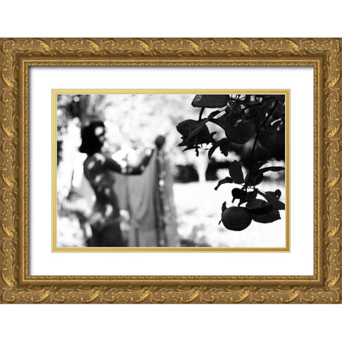 Apples Ii Gold Ornate Wood Framed Art Print with Double Matting by Kreigere, Inese