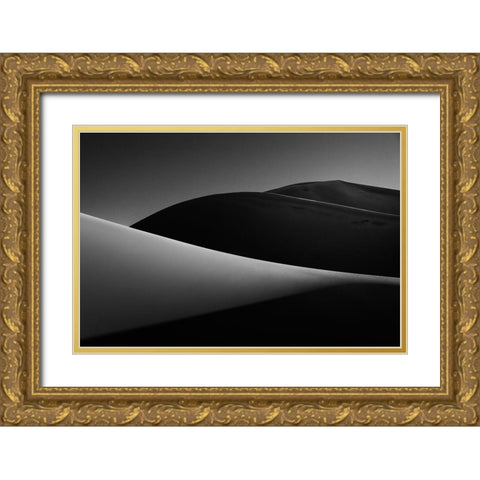 Dune Iii. Gold Ornate Wood Framed Art Print with Double Matting by Kravanja, Jure