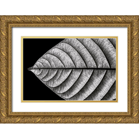 Dry Fish Gold Ornate Wood Framed Art Print with Double Matting by J. Bhange, Nilesh