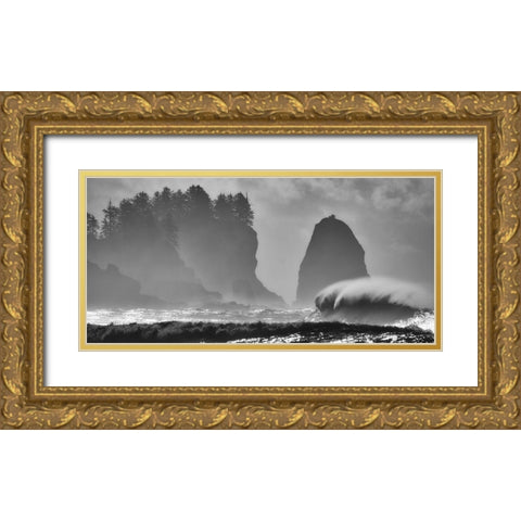 F U R Y Gold Ornate Wood Framed Art Print with Double Matting by Turgeon, Alain