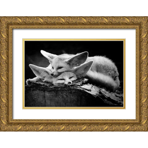 The Happy Couple Gold Ornate Wood Framed Art Print with Double Matting by Ross Rossi, Ib