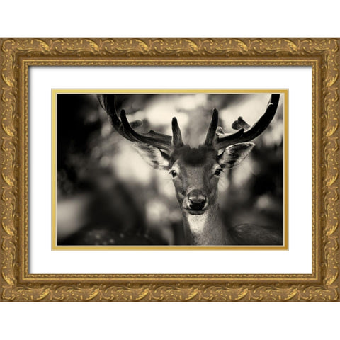 Bambi Gold Ornate Wood Framed Art Print with Double Matting by Stimac, Sandra