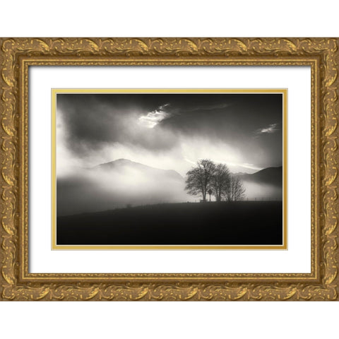 Morning Mood Gold Ornate Wood Framed Art Print with Double Matting by Pauli, Nina