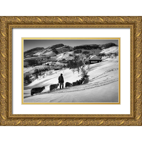 Meandering Gold Ornate Wood Framed Art Print with Double Matting by Harag, Ionut