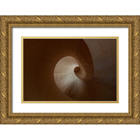 Spiral Gold Ornate Wood Framed Art Print with Double Matting by Bonadio, Heather