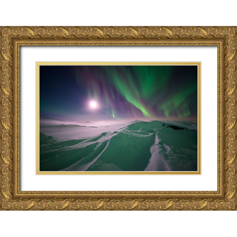 Artic Winter Gold Ornate Wood Framed Art Print with Double Matting by Eriksson, Robin