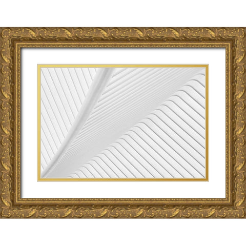 Canopy. Gold Ornate Wood Framed Art Print with Double Matting by Van Son, Greetje