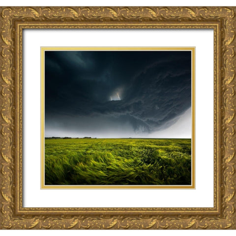 Sommergewitter_02 Gold Ornate Wood Framed Art Print with Double Matting by Schumacher, Nicolas