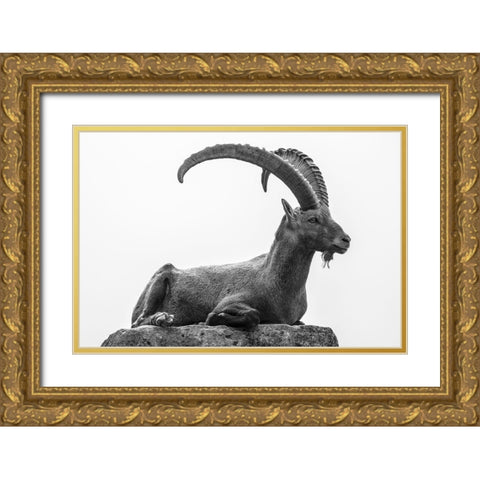 Resting Gold Ornate Wood Framed Art Print with Double Matting by Graf, Sebastian