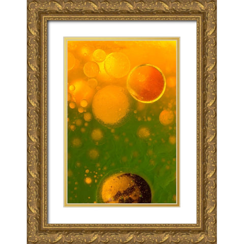 Spring Fantasy Gold Ornate Wood Framed Art Print with Double Matting by Bosogea-Tudor, Ileana