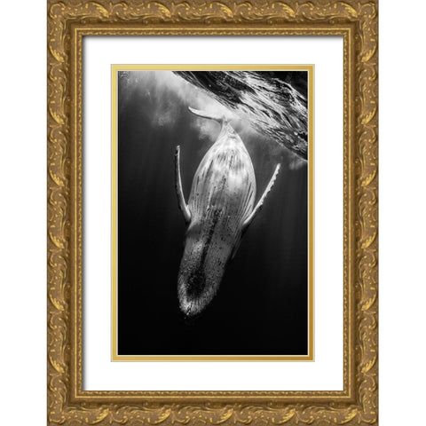 Black A Whale Gold Ornate Wood Framed Art Print with Double Matting by Gabriel, Barathieu