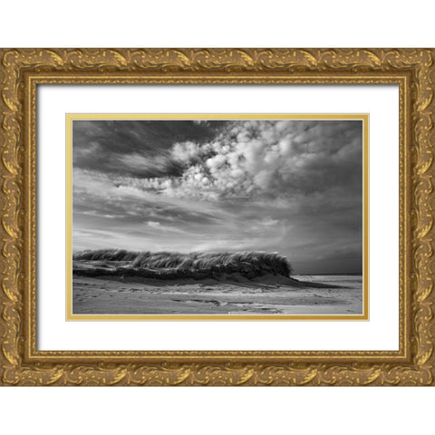 Untitled Gold Ornate Wood Framed Art Print with Double Matting by van der, Liesbeth