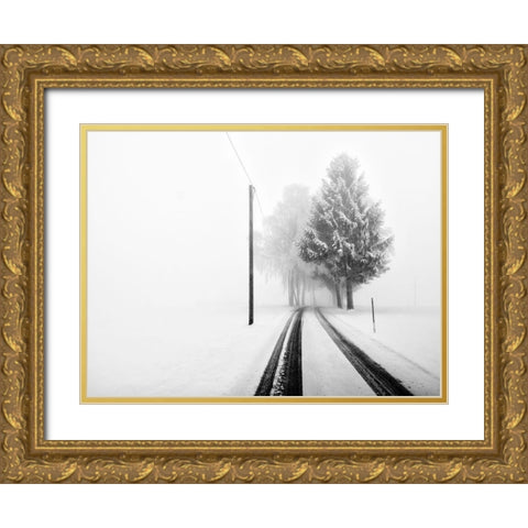 White Tree Gate Gold Ornate Wood Framed Art Print with Double Matting by Bogner, Franz